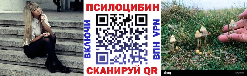 Галлюциногенные грибы Psilocybine cubensis  Новопавловск 